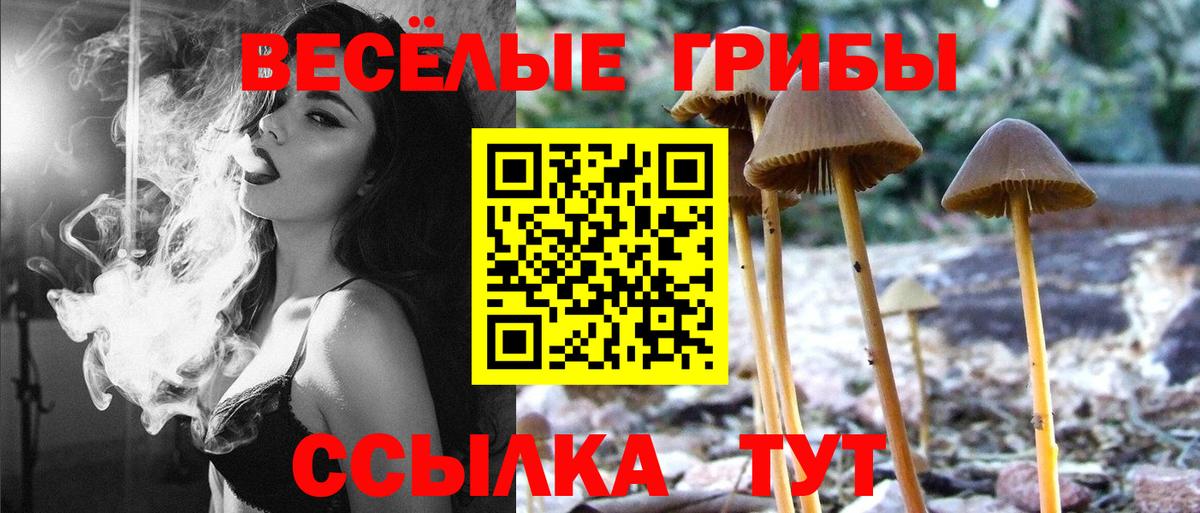 Петрозаводск  Галлюциногенные грибы MAGIC MUSHROOMS  Псилоцибиновые грибы мицелий  Вход с VPN 